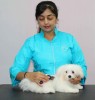 Funky Furz Pro- Groom SMALL SLICKER BRUSH